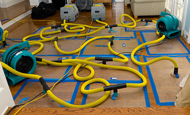 Professional Structural Drying And Dehumidification technician working in Stoutland, MO